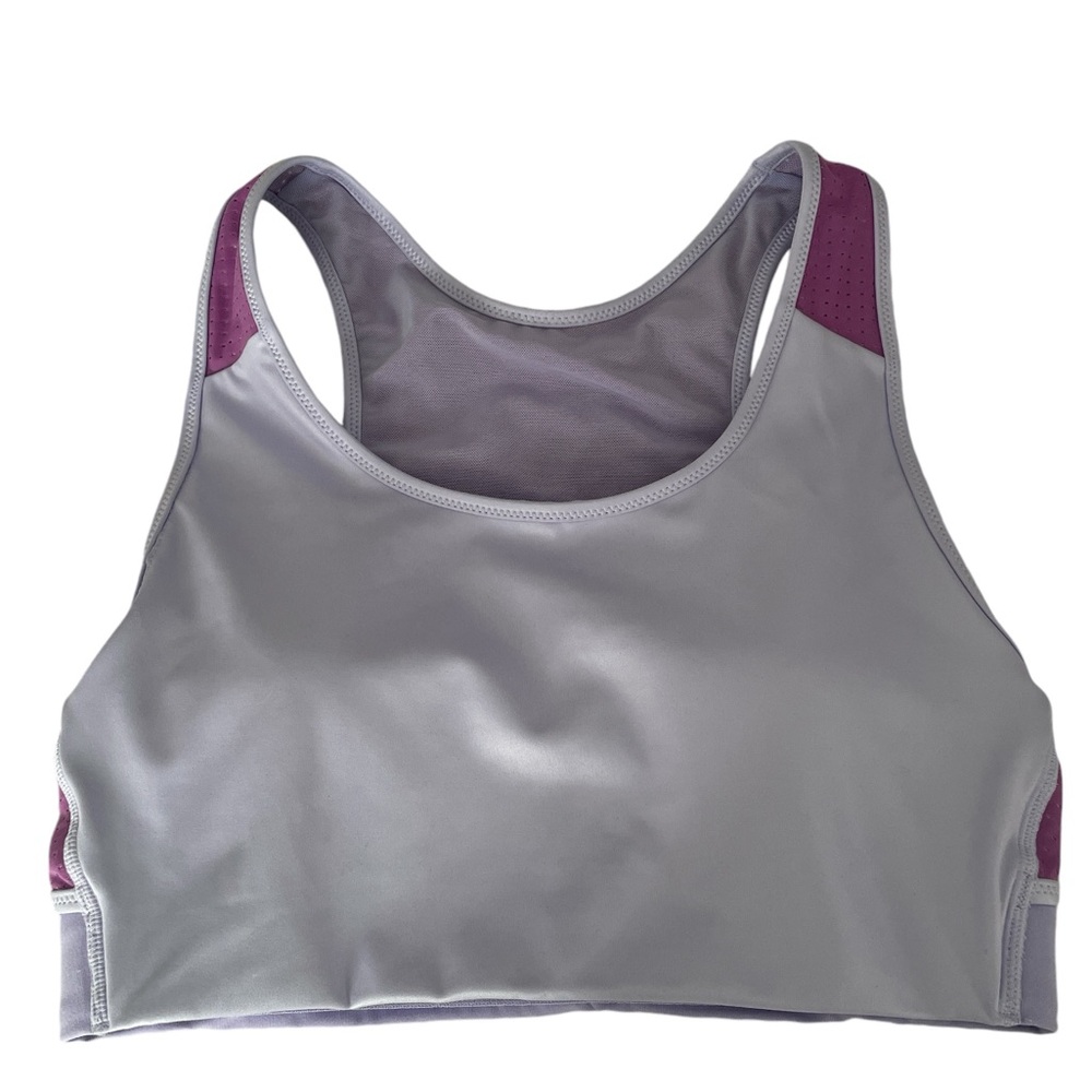 Fabletics Medium Impact Shine Sports Bra
